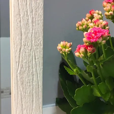 Col Di Lana Apartment Cagliari